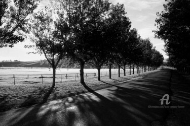 Photography titled "Country road - Tara…" by Scott Gregory Banner, Original Artwork, Analog photography