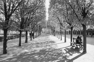 Fotografia intitolato "Palais Royal - Pari…" da Scott Gregory Banner, Opera d'arte originale, fotografia a pellicola