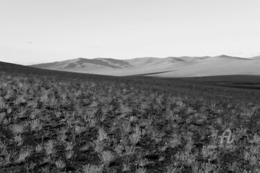 Photography titled "Grass and hills - B…" by Scott Gregory Banner, Original Artwork, Digital Photography