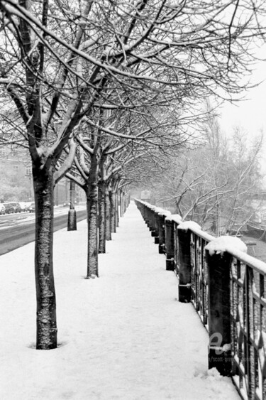 Fotografia intitulada "Snow covered footpa…" por Scott Gregory Banner, Obras de arte originais, Fotografia de filme