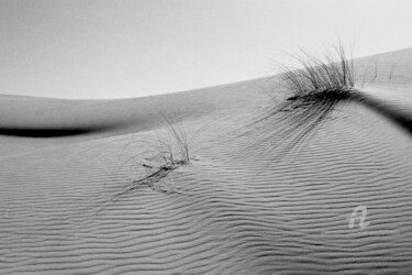 Photography titled "Sand dune and deser…" by Scott Gregory Banner, Original Artwork, Analog photography