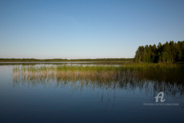 Fotografie mit dem Titel "Lake and pine fores…" von Scott Gregory Banner, Original-Kunstwerk, Digitale Fotografie