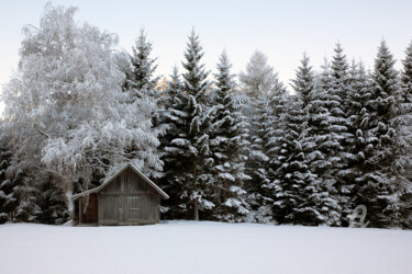 Fotografia intitolato "Wooden hut and fore…" da Scott Gregory Banner, Opera d'arte originale, Fotografia digitale