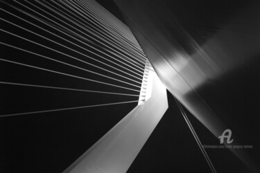 Fotografia intitolato "Erasmus Bridge - Ro…" da Scott Gregory Banner, Opera d'arte originale, Fotografia digitale