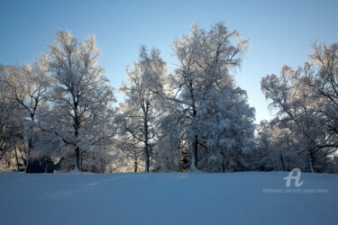 Photographie intitulée "Snow covered trees…" par Scott Gregory Banner, Œuvre d'art originale, Photographie numérique