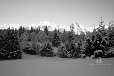 Fotografía titulada "Snow covered forest…" por Scott Gregory Banner, Obra de arte original, Fotografía digital