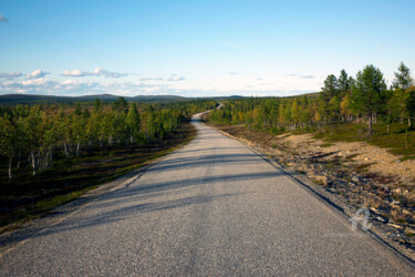 Фотография под названием "Country road - betw…" - Scott Gregory Banner, Подлинное произведение искусства, Цифровая фотография