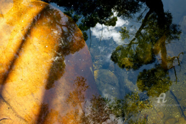 Fotografia intitolato "Rock pool reflectio…" da Scott Gregory Banner, Opera d'arte originale, Fotografia digitale