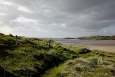 摄影 标题为“Beach dune and path…” 由Scott Gregory Banner, 原创艺术品, 数码摄影