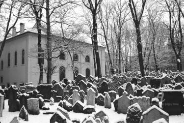 Fotografía titulada "Old Jewish Cemetery…" por Scott Gregory Banner, Obra de arte original, Fotografía analógica