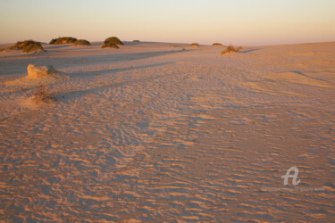 Fotografia zatytułowany „Sand dune - Lake Mu…” autorstwa Scott Gregory Banner, Oryginalna praca, Fotografia cyfrowa
