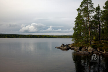 Fotografia intitulada "Lake and pine fores…" por Scott Gregory Banner, Obras de arte originais, Fotografia digital