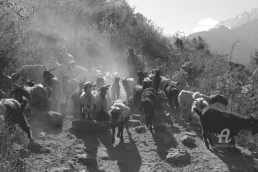 Fotografía titulada "Mountain goats and…" por Scott Gregory Banner, Obra de arte original, Fotografía digital