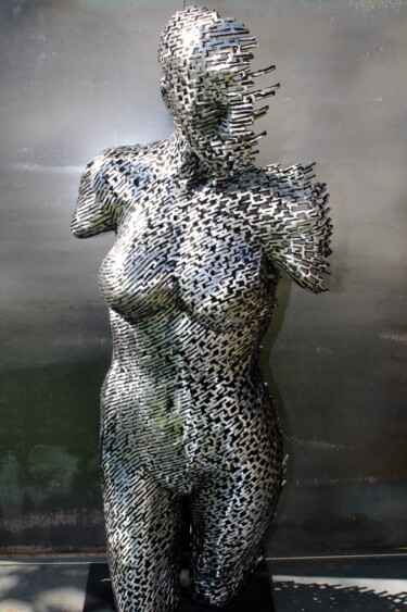 Escultura titulada "Fade in to static" por Scott Wilkes, Obra de arte original, Metales