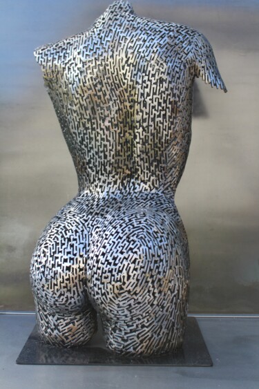 Скульптура под названием "An invitation ,,,,f…" - Scott Wilkes, Подлинное произведение искусства, Металлы