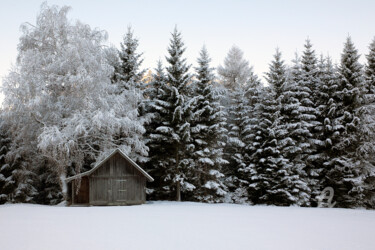 Fotografia intitulada "Wooden hut and fore…" por Scott Gregory Banner, Obras de arte originais, Fotografia digital