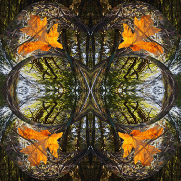 Цифровое искусство под названием "Autumn Forest 6" - Kenneth Grzesik, Подлинное произведение искусства, Цифровая живопись