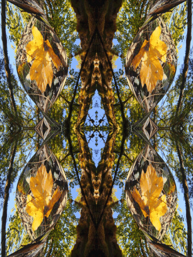 Digital Arts titled "Autumn Forest 12" by Kenneth Grzesik, Original Artwork, Digital Painting