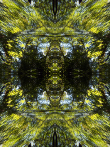 Digital Arts titled "Forest Abstract 1" by Kenneth Grzesik, Original Artwork, Digital Painting