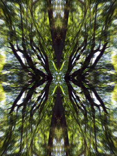 Цифровое искусство под названием "Forest Abstract 2" - Kenneth Grzesik, Подлинное произведение искусства, Цифровая живопись