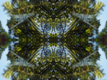 Digital Arts titled "Forest Abstract 3" by Kenneth Grzesik, Original Artwork, Digital Painting