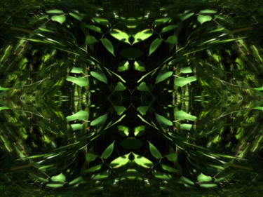 Grafika cyfrowa / sztuka generowana cyfrowo zatytułowany „Forest Abstract 4” autorstwa Kenneth Grzesik, Oryginalna praca, Ma…