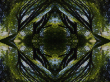 Digitale Kunst mit dem Titel "Forest Abstract 6" von Kenneth Grzesik, Original-Kunstwerk, Digitale Malerei