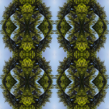 Digital Arts titled "Forest Abstract 14" by Kenneth Grzesik, Original Artwork, Digital Painting