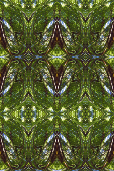 Digital Arts titled "Forest Abstract 17" by Kenneth Grzesik, Original Artwork, Digital Painting