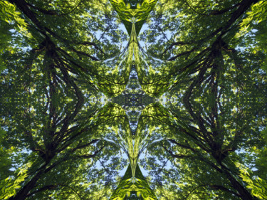 Digital Arts titled "Forest Abstract 22" by Kenneth Grzesik, Original Artwork, Digital Painting