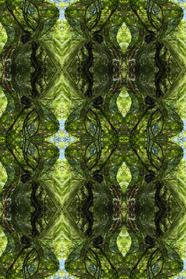 Arte digitale intitolato "Forest Abstract 27" da Kenneth Grzesik, Opera d'arte originale, Pittura digitale