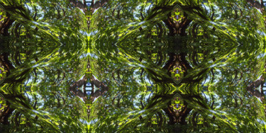 제목이 "Forest Abstract 28"인 디지털 아트 Kenneth Grzesik로, 원작, 디지털 페인팅