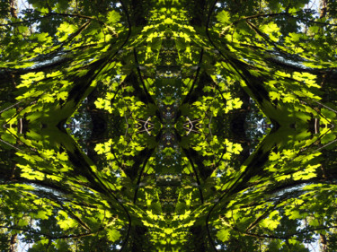 Digital Arts titled "Forest Abstract 30" by Kenneth Grzesik, Original Artwork, Digital Painting