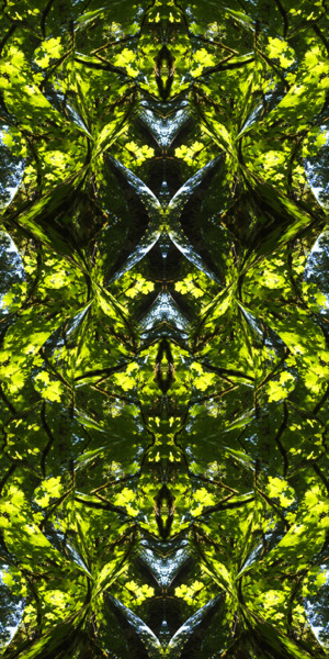 Digital Arts titled "Forest Abstract 31" by Kenneth Grzesik, Original Artwork, Digital Painting