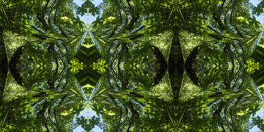 Digital Arts titled "Forest Abstract 33" by Kenneth Grzesik, Original Artwork, Digital Painting