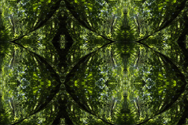 Digital Arts titled "Forest Abstract 35" by Kenneth Grzesik, Original Artwork, Digital Painting