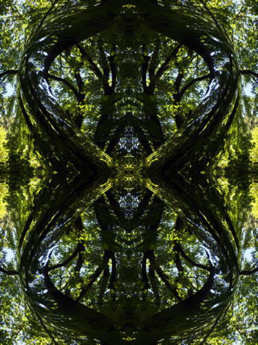 Digital Arts titled "Forest Abstract 36" by Kenneth Grzesik, Original Artwork, Digital Painting