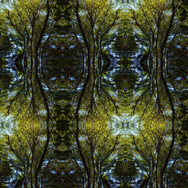 Digital Arts titled "Forest Abstract 37" by Kenneth Grzesik, Original Artwork, Digital Painting