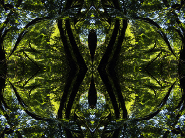 Digital Arts titled "Forest Abstract 38" by Kenneth Grzesik, Original Artwork, Digital Painting