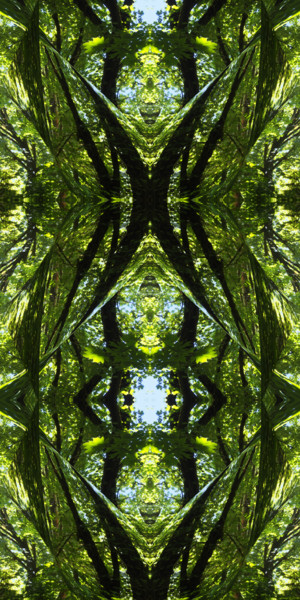 Arte digitale intitolato "Forest Abstract 39" da Kenneth Grzesik, Opera d'arte originale, Pittura digitale