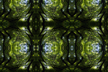 Grafika cyfrowa / sztuka generowana cyfrowo zatytułowany „Forest Abstract 42” autorstwa Kenneth Grzesik, Oryginalna praca, M…