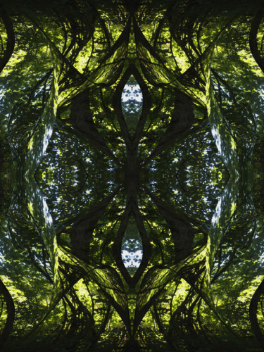 Digital Arts titled "Forest Abstract 45" by Kenneth Grzesik, Original Artwork, Digital Painting