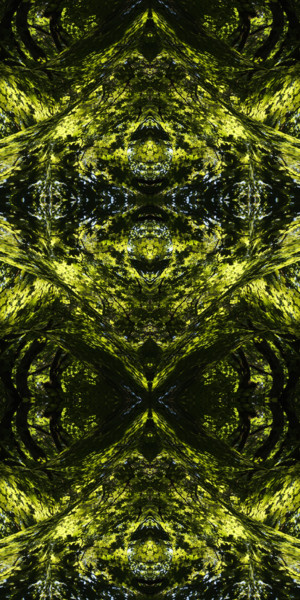 Digitale Kunst mit dem Titel "Forest Abstract 47" von Kenneth Grzesik, Original-Kunstwerk, Digitale Malerei
