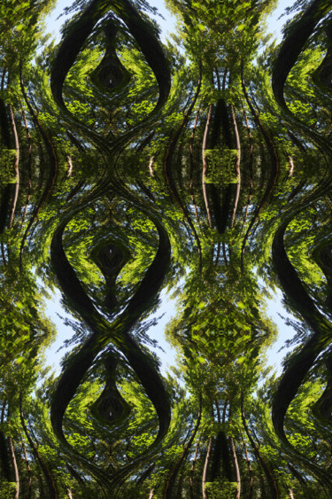 Arts numériques intitulée "Forest Abstract 49" par Kenneth Grzesik, Œuvre d'art originale, Peinture numérique