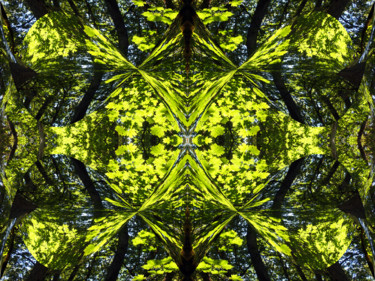 Digital Arts titled "Forest Abstract 51" by Kenneth Grzesik, Original Artwork, Digital Painting