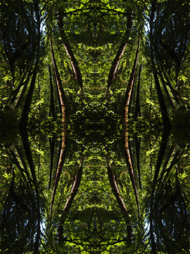 Digital Arts titled "Forest Abstract 52" by Kenneth Grzesik, Original Artwork, Digital Painting