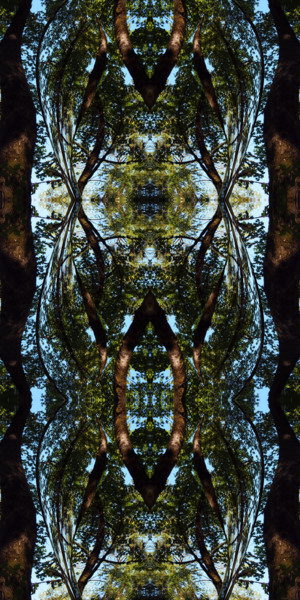 Digital Arts titled "Forest Abstract 54" by Kenneth Grzesik, Original Artwork, Digital Painting