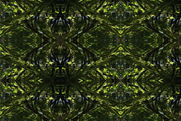 Digitale Kunst getiteld "Forest Abstract 55" door Kenneth Grzesik, Origineel Kunstwerk, Digitaal Schilderwerk