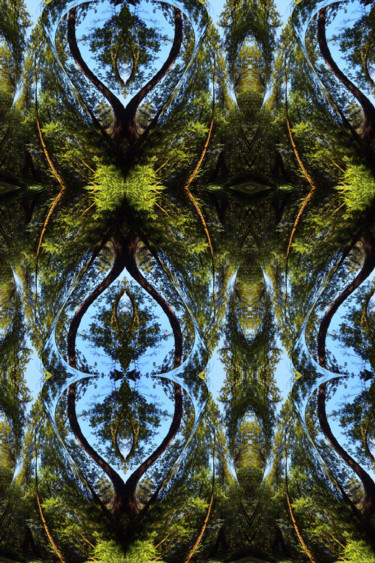 Digital Arts titled "Forest Abstract 56" by Kenneth Grzesik, Original Artwork, Digital Painting