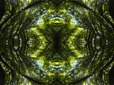 Digital Arts titled "Forest Abstract 58" by Kenneth Grzesik, Original Artwork, 2D Digital Work